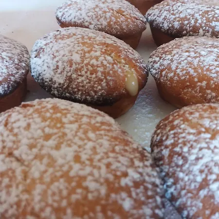 Bb Gallipolis Terra Готель типу 